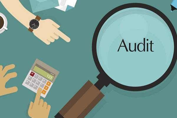 best auditing firms in india,auditing firm in india,company audit firm,business auditing firm in india,business audit,ca for business audit,audit firm , audit firm in india