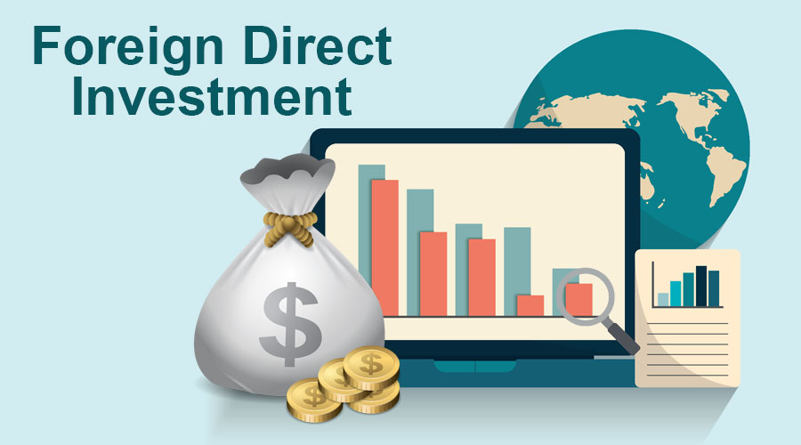 Foreign Direct Investment: Overview, Types, Advantages & Disadvantages of FDI