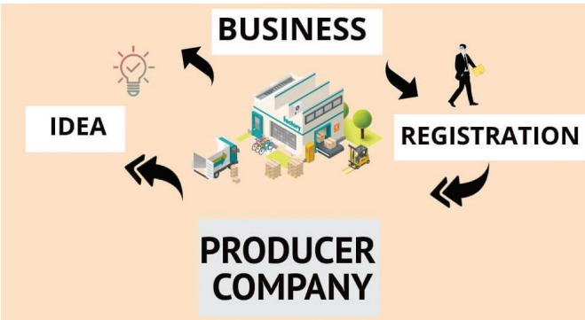 producer company 